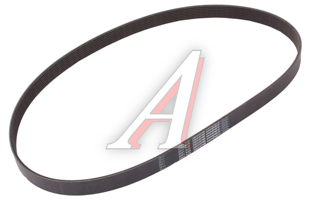 Ремень КАМАЗ-4308 генератора дв.CUMMINS RUBENA